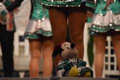faschingstreiben2018_3