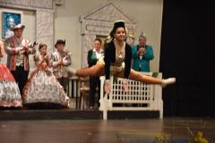 hofball2018_4